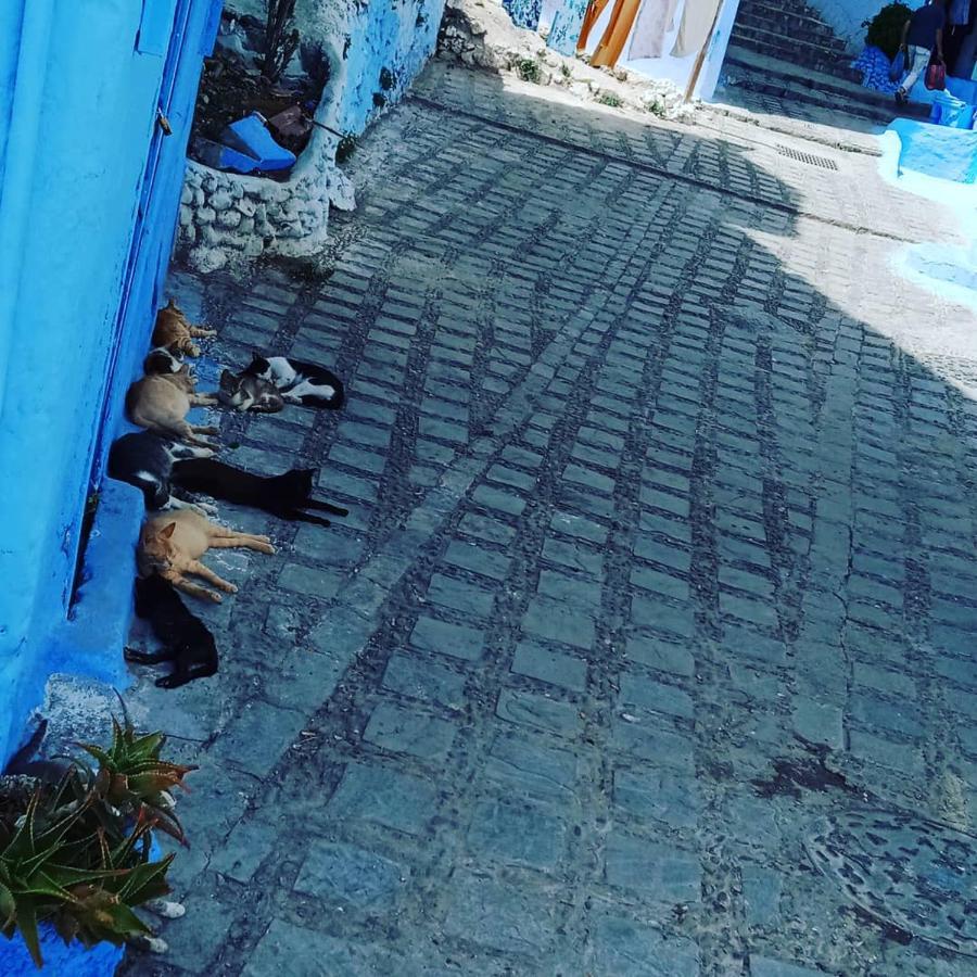 Casa Mablu Apartman Chefchaouen Kültér fotó